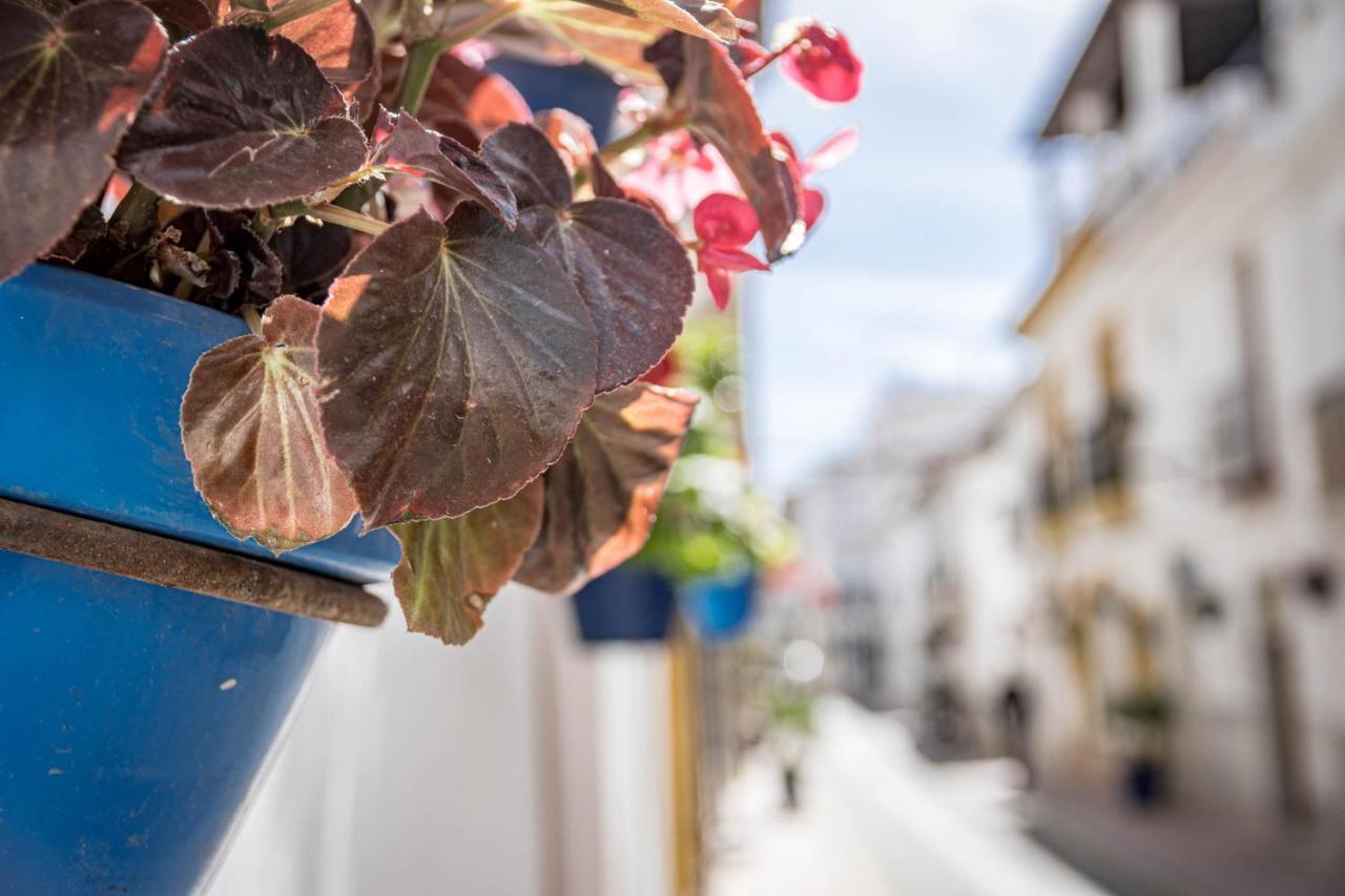 Seaclub Suites Estepona By Roomservices Exteriér fotografie